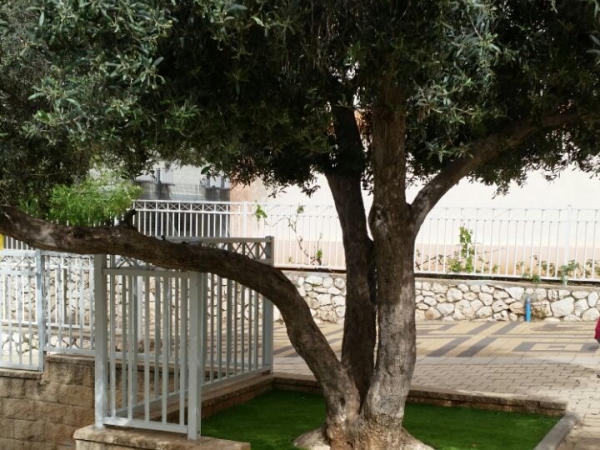 a076c01448eb6b342e7ab01fea615446