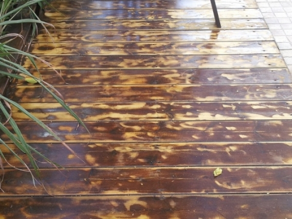 8b8dc547b8075ee06d9f17125b8809a1